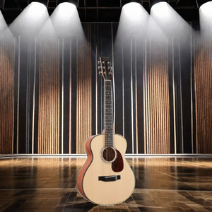 Hailun Hl <span class=keywords><strong>1</strong></span> nhạc cụ & phụ kiện guitar thanh lịch - Product Image 5