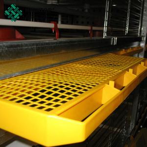 Pulcini da carne di un giorno dell'allevamento di polli di pollame ad alta efficienza di migliore qualità a basso prezzo <span class=keywords><strong>in</strong></span> <span class=keywords><strong>vendita</strong></span> - Product Image 5