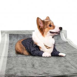 Alfombra de Carbón Vegetal para Mascotas, Alfombra para Perros, Alfombra para Cachorros, Alfombra para Mascotas - Product Image 2