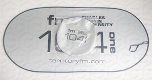 Magican — protecteur de voiture ovale pliable en polyester, avec revêtement en argent, 190T, de forme ovale et impression de peau de soie - Product Image 2