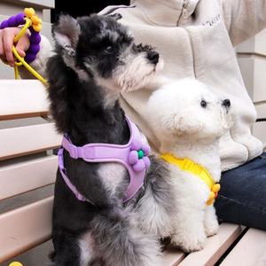 New Pet Traction Rope Tank <b>Top</b> Pet Chest Strap Small and Medium Sized Dog Chest Back Dog Walking Rope - Product Image 5