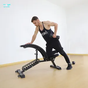 Incline Sit Up bangku datar pabrik peralatan kebugaran Gym komersial latihan olahraga bangku Dumbbell dapat disesuaikan