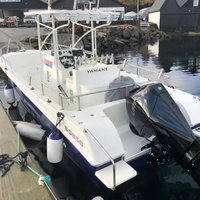 28ft haute qualité Offre Spéciale bleu glace en fibre de verre Console centrale bateau de pêche pour les sports nautiques