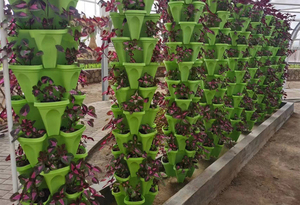 Vasi da fiori in plastica torre <span class=keywords><strong>per</strong></span> la coltivazione di fragole impilabili coltivabile ipogeo verticale da <span class=keywords><strong>giardino</strong></span> modulari verticali <span class=keywords><strong>prodotti</strong></span> da <span class=keywords><strong>giardino</strong></span> - Product Image 3