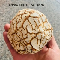 Pierres brutes d'agate naturelle uniques, forme d'ananas, non polies et brutes, avec des couleurs variées, magnifiques spécimens minéraux et cristaux