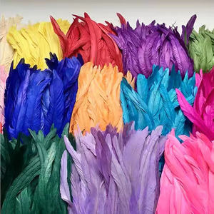 Plumas <span class=keywords><strong>de</strong></span> Gallo Teñidas <span class=keywords><strong>de</strong></span> Negro <span class=keywords><strong>de</strong></span> 10-12 Pulgadas/25-30 cm al por Mayor <span class=keywords><strong>de</strong></span> Fábrica, Adorno <span class=keywords><strong>de</strong></span> Flecos <span class=keywords><strong>para</strong></span> Disfraces <span class=keywords><strong>de</strong></span> Carnaval, Vestidos y Costura - Product Image 6