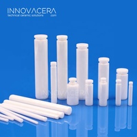 Eje de Pistón Cerámico Industrial de Zirconia de Alto Brillo con Resistencia a la Flexión de 300Mpa, Certificado ISO 9001 para Bomba