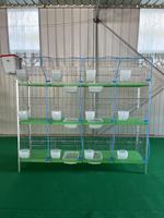Cages à Lapins Galvanisées à Chaud, 24 Cellules, pour Élevage, Vente en Gros Direct Usine