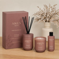 Diffuseur de parfum à bâtonnets et bougie parfumée AIKUN, finition mate dépolie, rechargeable, longue durée, aux huiles essentielles naturelles, coffret cadeau pour la décoration intérieure