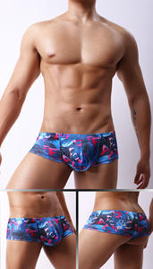 Mini Cheek Boxer Briefs Braziliaans hipster-ondergoed voor heren Sexy laagbouw bedrukte mesh slipje Ademend comfortabel - Product Image 3