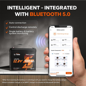 Литиевая батарея LiFePO4, 12 В - Product Image 3