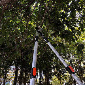 Tijeras telescópicas one99, podadora de jardín, mango largo, venta al por mayor - Product Image 2