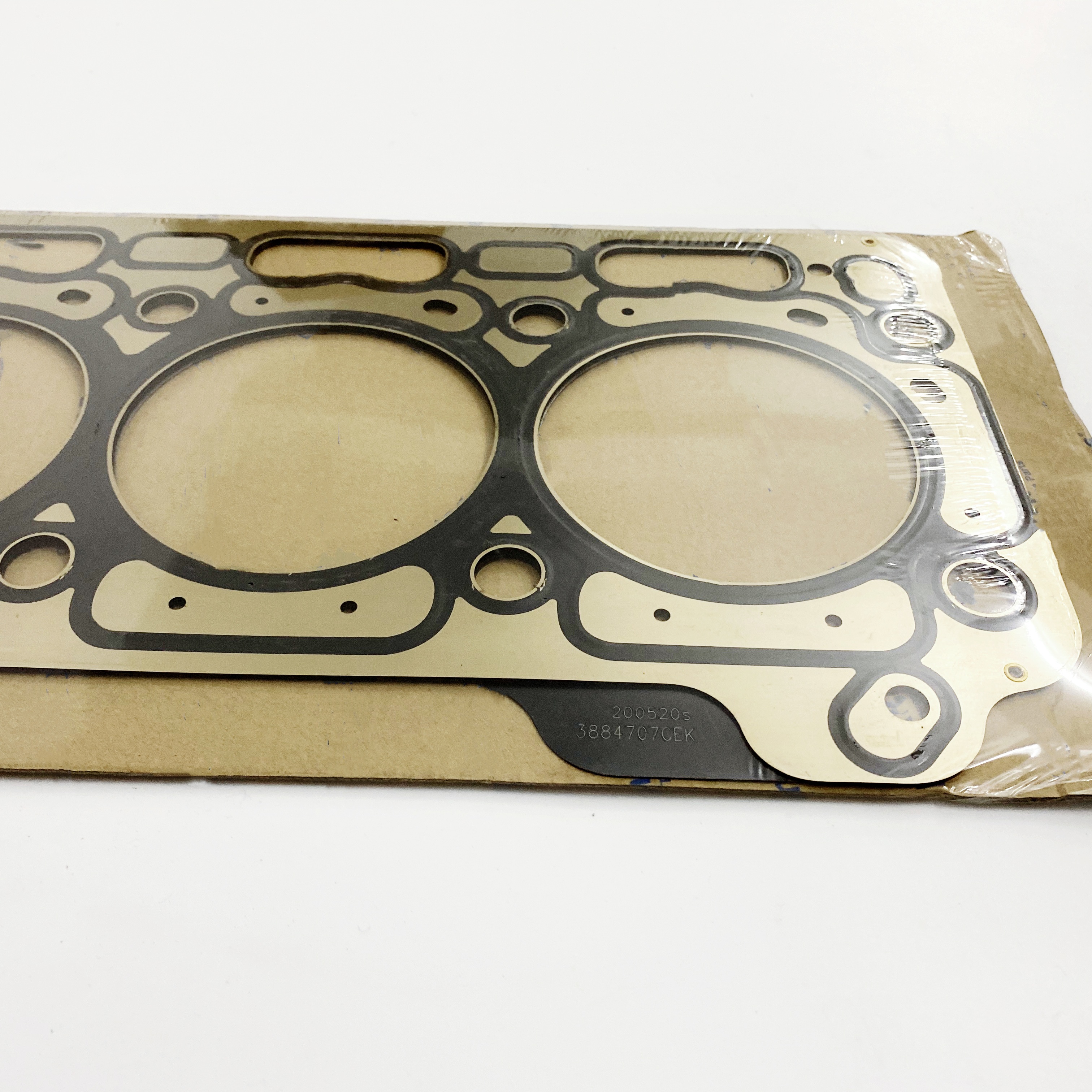 タイマイ剥製 2025年最新】タイマイ剥製の人気アイテム - メルカリ