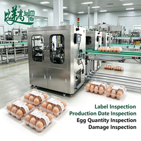 Équipement industriel entièrement automatique de traitement des œufs avec inspection intelligente des étiquettes et fonction de classification précise