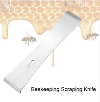 Mini grattoir pour Apiculture à abeilles, 2 pièces, grattoir pour abeilles, équipement pour apiculteur
