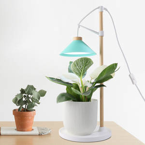 J & C Minigarden Đế Gỗ Điều Chỉnh Độ Cao 9W Bộ Dụng Cụ Trồng Xương Rồng Bộ Dụng Cụ Cho Người Mới Bắt Đầu Vườn Thảo Mộc Thân Thiện Với Môi Trường - Product Image 1