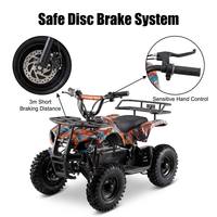 Quad électrique tout-terrain HUATAILE TC-ATV-01 à chenilles pour neige, 36V, cadre en fer, batterie au plomb-acide, pneus haute adhérence pour la plage – Vente directe usine