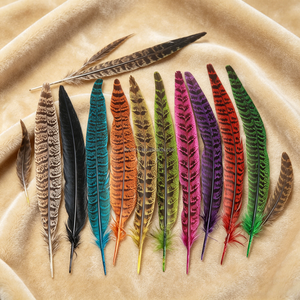 Plumas de Cola de Faisán Lady Amherst Auténticas - Ideales para Fondos de Estudio Fotográfico, Adornos de <span class=keywords><strong>Alta</strong></span> <span class=keywords><strong>Costura</strong></span> y Decoraciones Navideñas - Product Image 6