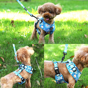 広州工場パーソナライズされた犬の首輪と鎖調節可能なペットハーネスセット - Product Image 2