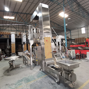SUS304 Z-<span class=keywords><strong>type</strong></span> emmerlift 6M maximale hoogte, levensmiddelenkwaliteit transport - Product Image 2