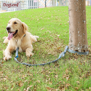 Correa elástica para perros con manos libres ecológica, <span class=keywords><strong>collar</strong></span> de entrenamiento táctico retráctil personalizado con LED y patrón de animales - Product Image 3