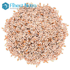 नॉंगल आंत स्वास्थ्य पूरक आहार फाइबर 99% पेसिलियम भूक पाउडर - Product Image 6