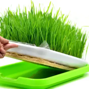 Hydroponic seedling planting greenhouse plastic trays for plants indoor plant tray