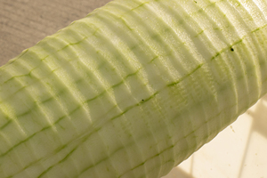 เครื่องปอกเปลือกฟักทองแตงโมแตงโมแตงโม - Product Image 4