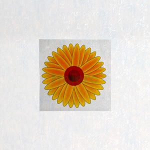 Pièges à mouches collants Haierc, attrape-mouches, plaque de piège à colle pour mouches HC4102 - Product Image 4