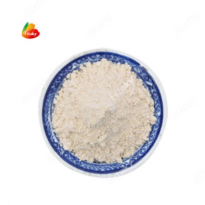 Polvere di rafano verde polvere di rafano Wasabi Halal pasta di polvere di Wasbi rafano - Product Image 1