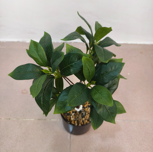 Árbol del Dinero Artificial, Planta Verde Decorativa en Maceta, Bonsái con Hojas de Dinero para Interiores, Sala de Estar - Product Image 6