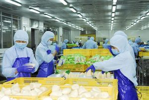 <span class=keywords><strong>หน่อไม้</strong></span>ไผ่กระป๋องคุณภาพสูง <span class=keywords><strong>หน่อไม้</strong></span>ไผ่หั่นเป็นเส้น ผลิตในจีนจากโรงงานโดยตรง - Product Image 2