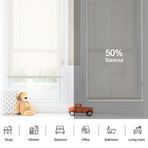 आधुनिक चिक प्राकृतिक रोलर अंधा बुनाई खिड़की अंधा कॉर्डलेस रोलर रंग - Product Image 3