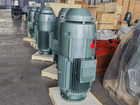 Système de Moteur de Pompe Industrielle 600 CV à Arbre Creux Vertical pour Pompe de Puits Profond, Irrigation et Approvisionnement en Eau
