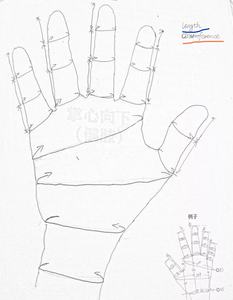 2022 OEM ODM personnalisé implant cosmétique en silicone doigt - Product Image 5