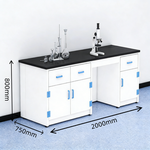 Muebles de Laboratorio de PP Resistentes al Ácido, Banco de Polipropileno para Laboratorio de Microbiología - Product Image 4
