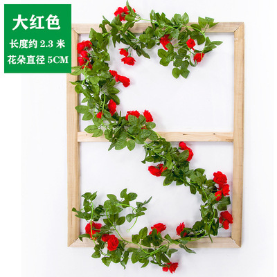 1 barre de 20 roses françaises (écarlates)