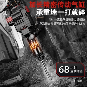 Delixi Electric Pickaxe 45mm Cylinder 50J Impact Industrial Demolition <b>Tool</b> - Product Image 1