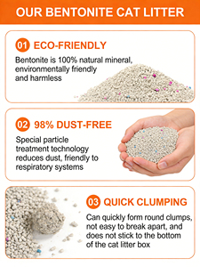 Lettiera per Gatti in Bentonite Ecologica Senza Polvere 10L Altamente Assorbente a Rapida Agglomerazione - Product Image 2