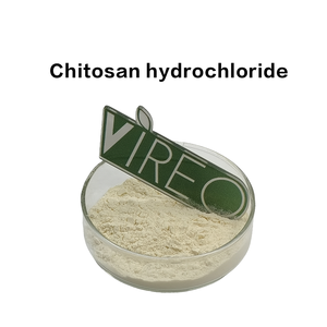 산업용 키토산 염산염 효소 분말(산업 생산용 키토산 염산염 효소) - Product Image 1