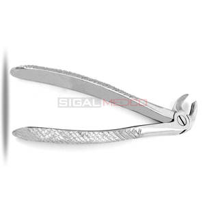 Pince d'extraction Premium #38 motif anglais Instruments dentaires en acier inoxydable de haute qualité pour la chirurgie buccale d'extraction dentaire - Product Image 3