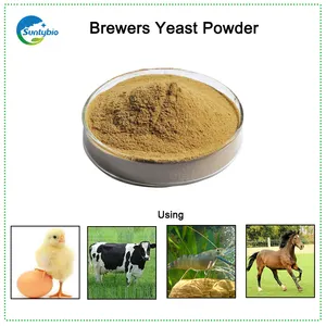 Feed Grade Brewer Yeast For Animal Food For Protein Feed