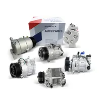 Car Air Conditioner Compressor, All Series and OEM Quality
