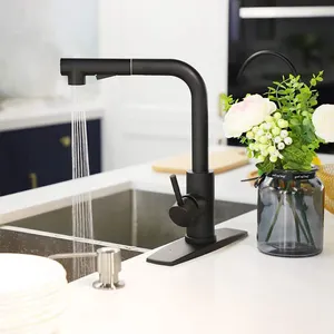 CUPC Wholesale 360 Rotation Sprayer Hot Cold Water Tap Mixer Stainless Steel Pull Out Down Black Sink Kitchen Faucets