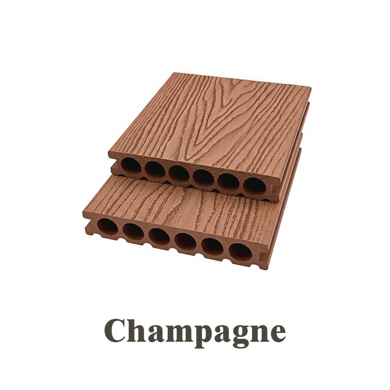 Champagne échantillon 15cm