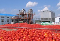 Usine Genyond, petite ligne de production de fabrication de concentré de tomates, de ketchup, de sauce au piment, de confiture de fruits, usine de transformation