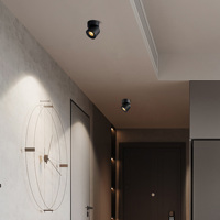 Aisilan Projet de boutique d'hôtel 7w 15w Dimmable Adjustable Anti Glare Spot Down Lights Ceiling COB Surface Mounted Led Downlight