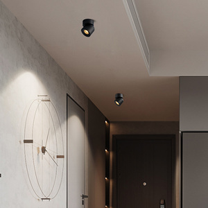 Aisilan Projet de boutique d'hôtel 7w 15w Dimmable Adjustable Anti Glare <span class=keywords><strong>Spot</strong></span> Down Lights Ceiling COB Surface Mounted <span class=keywords><strong>Led</strong></span> Downlight - Product Image 4
