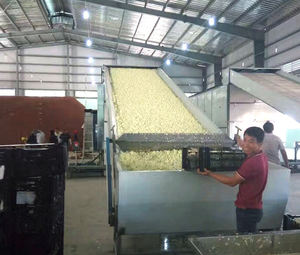 Brossage et lavage à sec chauffage chips de fruits séchés séchage petite machine pour fruits - Product Image 6