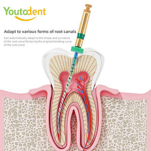 Strumento Dentale Rotante in NiTi per Motori Endodontici, Localizzatori Apicale e File per Broccia Nervosa - Strumento Chirurgico Dentale - Product Image 4